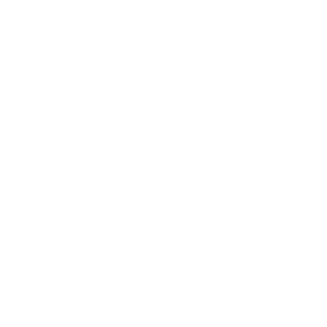 Camp Newaygo